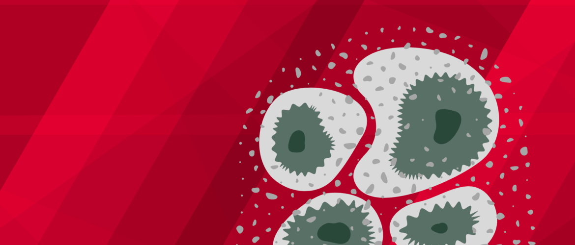 Mould and Condensation in Apartments