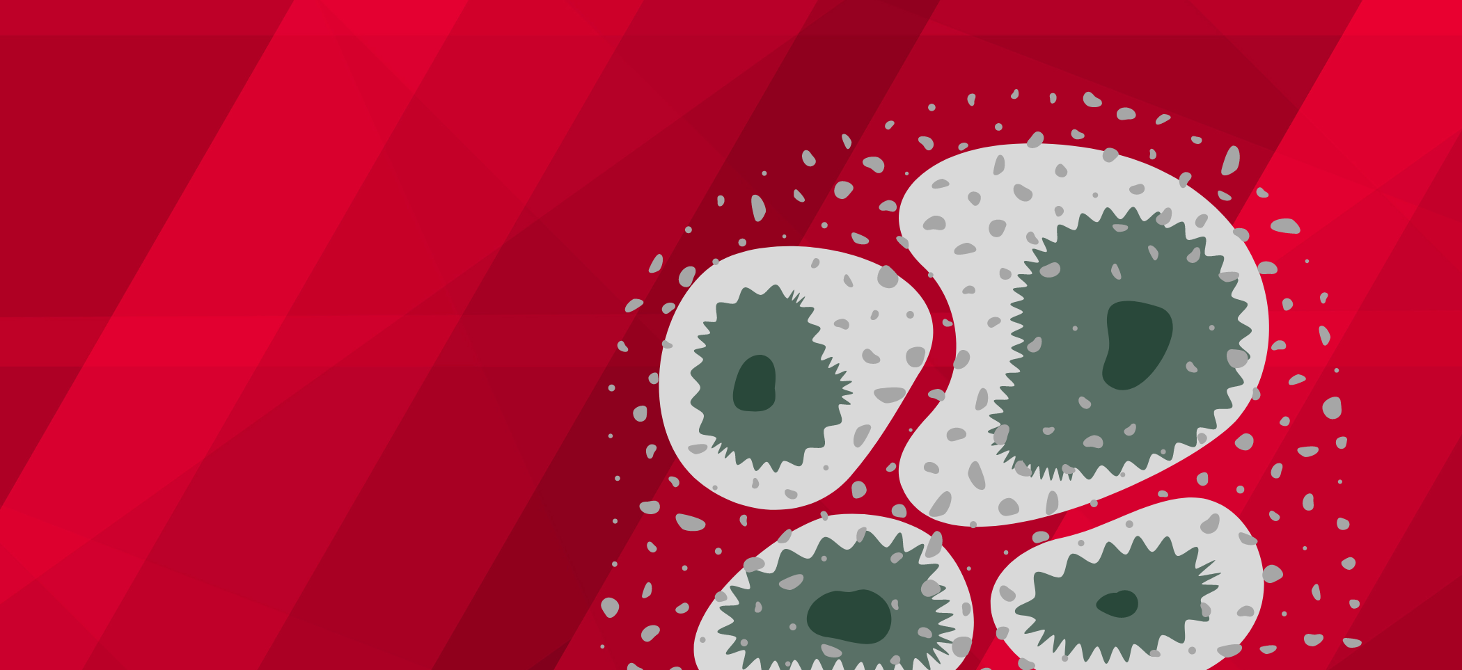 Mould and Condensation: How To Prevent It