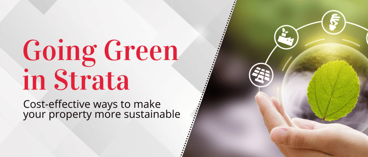 Going Green in Strata